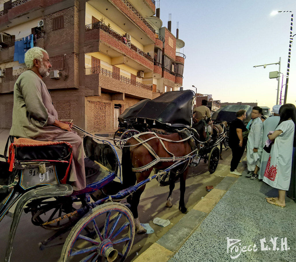 接送我們前往老鷹神殿的馬車