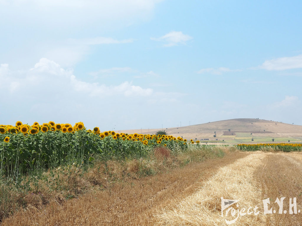 土耳其跟團旅行10天，雄獅旅天下跟團心得