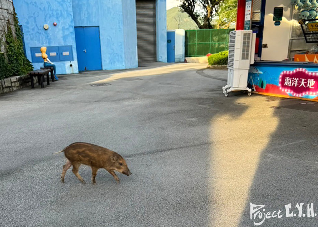 香港自由行，海洋公園