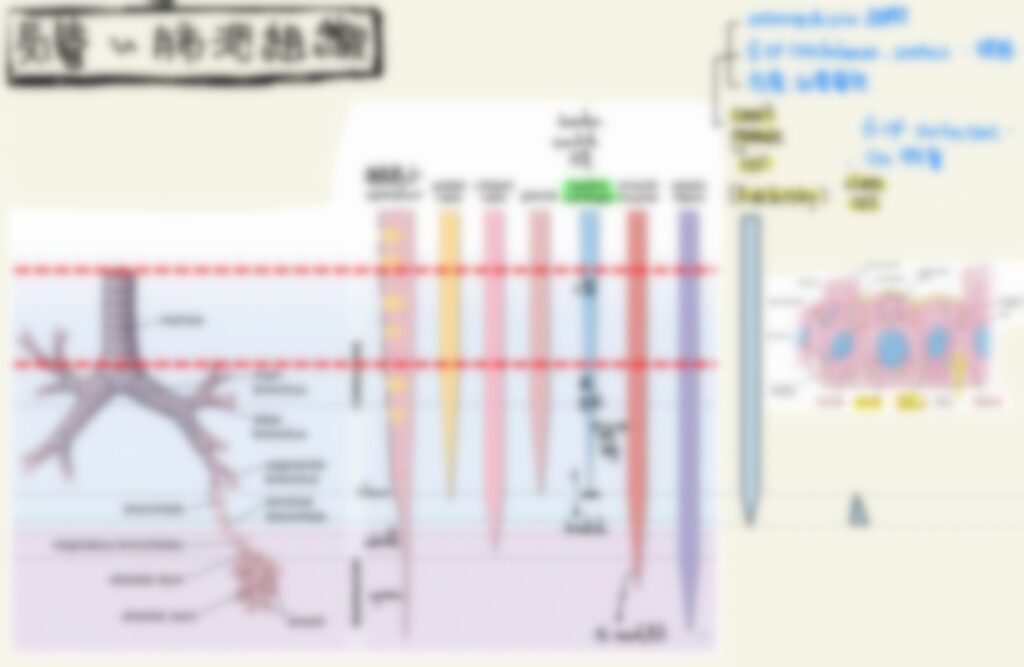 一階醫師國考心得分享 ，組織筆記