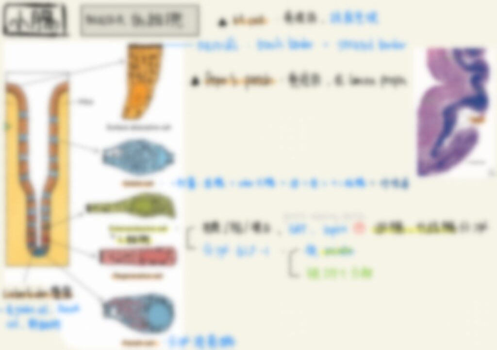 一階醫師國考心得分享 ，生理筆記