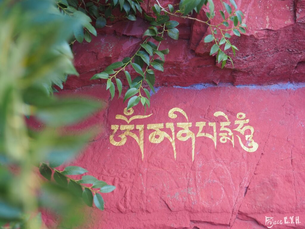 西藏之旅