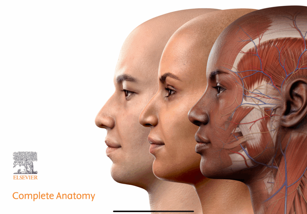 一階醫師國考心得分享 Complete Anatomy