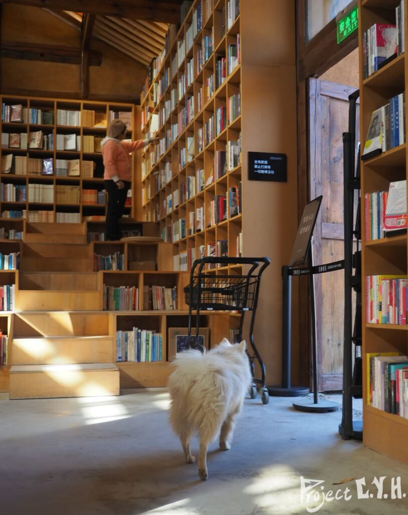 先鋒書店與狗