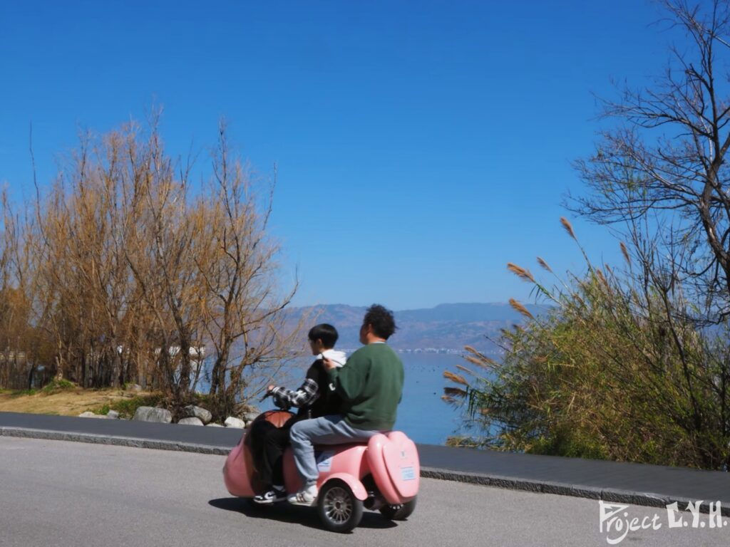 騎不動腳踏車的話,也可以選這種電動車,但它好像有活動範圍的限制,路邊真的有看到拋錨(沒電)的車車🤣