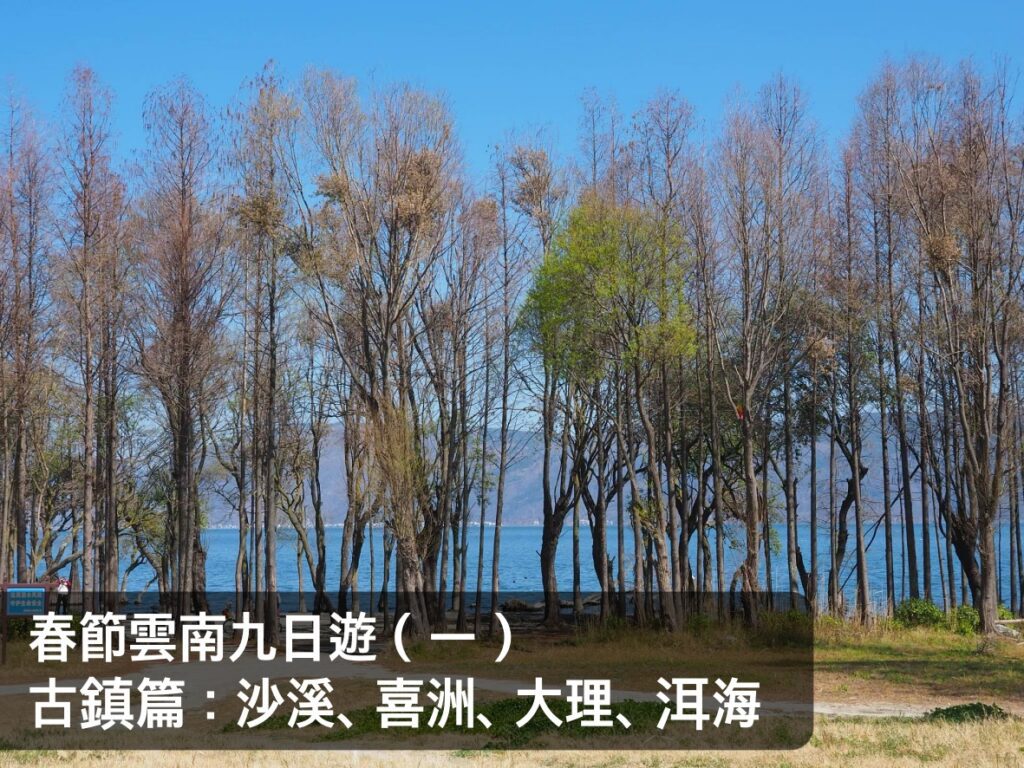 雲南九日遊,古鎮篇
